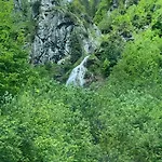 Wengerwirt Zur Laube