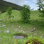 Wengerwirt Zur Laube Bed and breakfast 3*