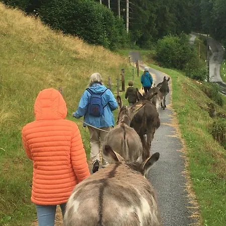 Alojamento de Acomodação e Pequeno-almoço Wengerwirt Zur Laube 3*
