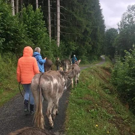 Wengerwirt Zur Laube