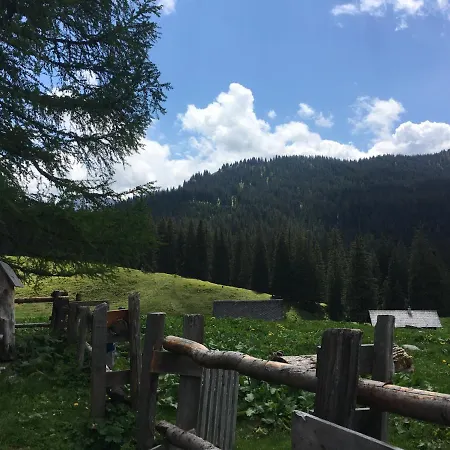Bed & Breakfast Wengerwirt Zur Laube *