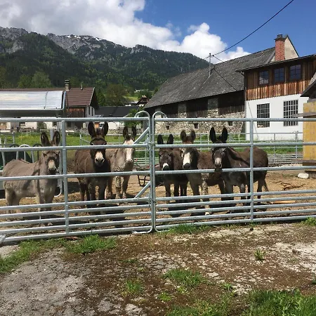 Bed & Breakfast Wengerwirt Zur Laube