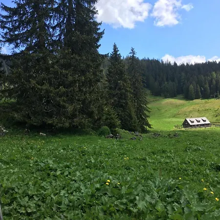Wengerwirt Zur Laube Weng im Gesause
