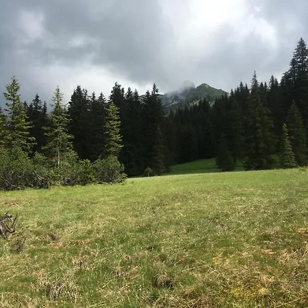 Wengerwirt Zur Laube *
