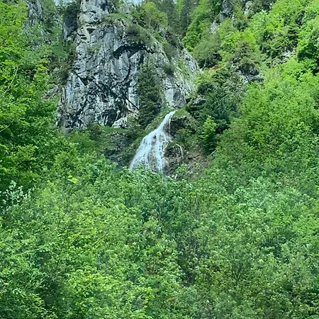 Wengerwirt Zur Laube