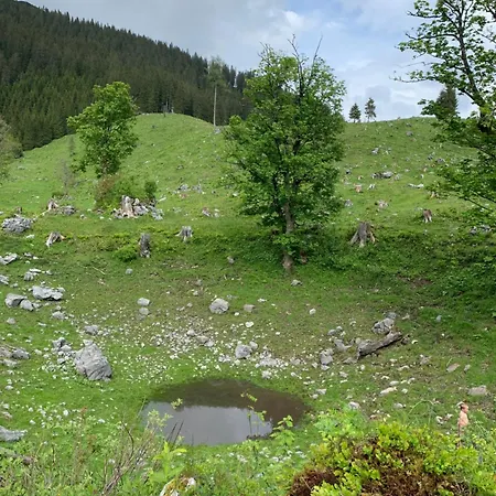 Wengerwirt Zur Laube Bed & Breakfast *