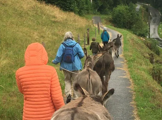 Bed & Breakfast Wengerwirt Zur Laube 3*