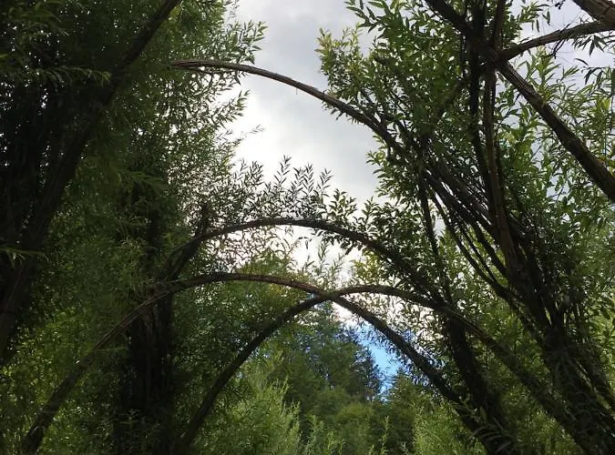 Wengerwirt Zur Laube