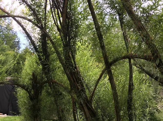 Wengerwirt Zur Laube