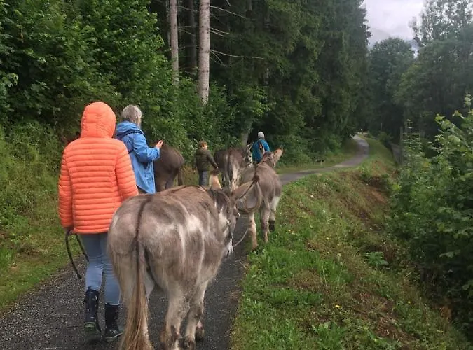 Wengerwirt Zur Laube