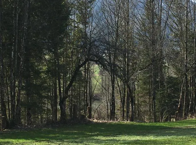 Wengerwirt Zur Laube فندق مبيت وإفطار 3*