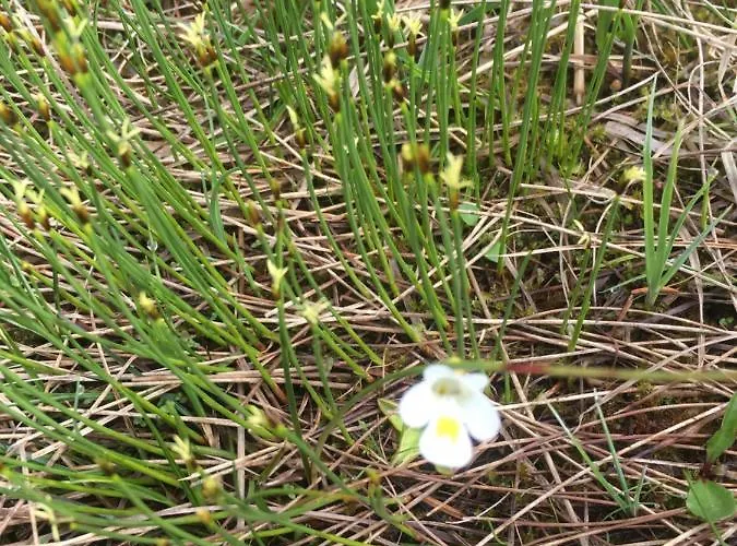 Wengerwirt Zur Laube 3* Weng im Gesause