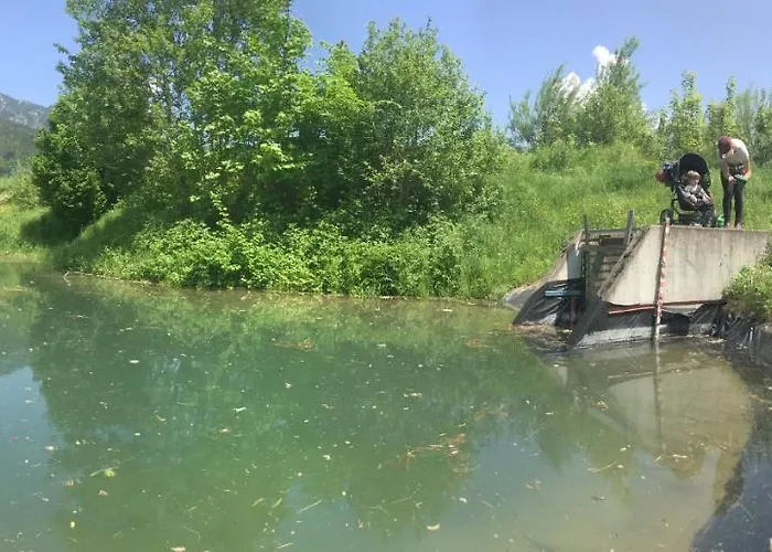 Wengerwirt Zur Laube Weng im Gesause