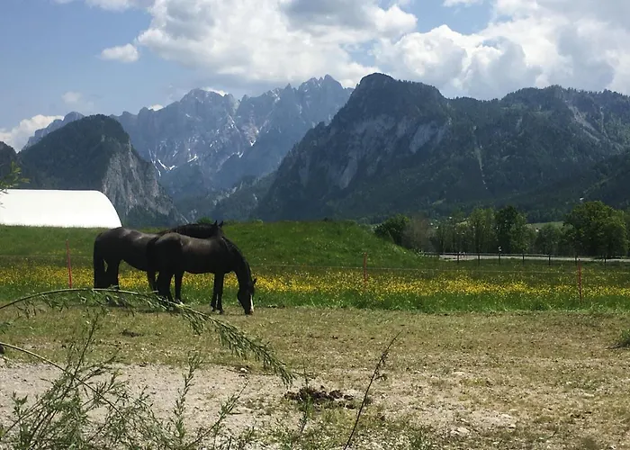 Wengerwirt Zur Laube Bed & Breakfast