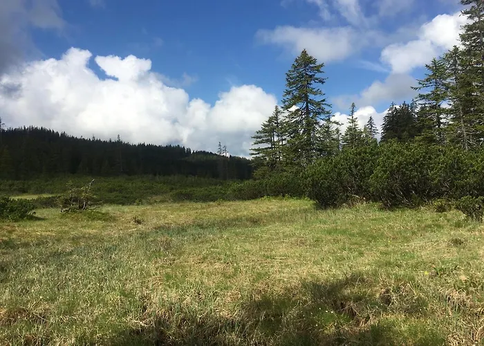 Wengerwirt Zur Laube