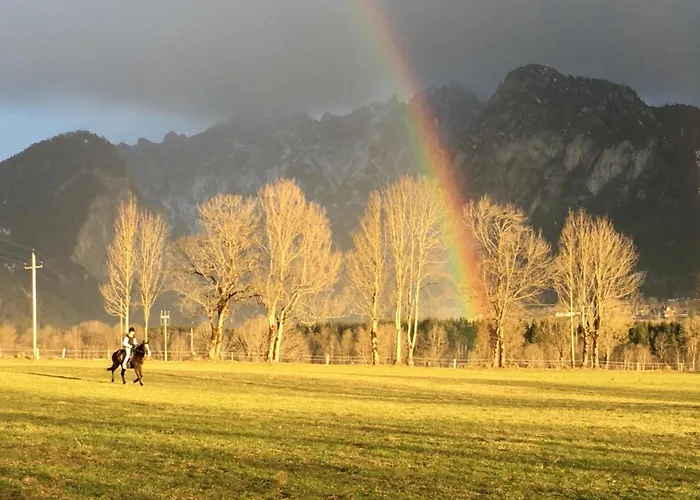 Wengerwirt Zur Laube فندق مبيت وإفطار 3*