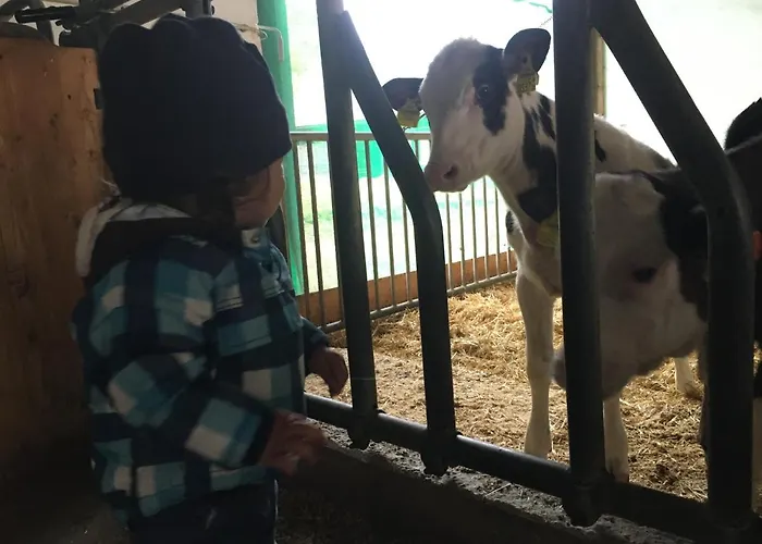 Wengerwirt Zur Laube 3* Weng im Gesause