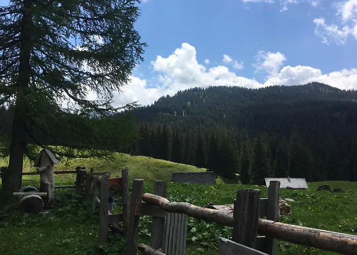 فندق مبيت وإفطار Wengerwirt Zur Laube 3*