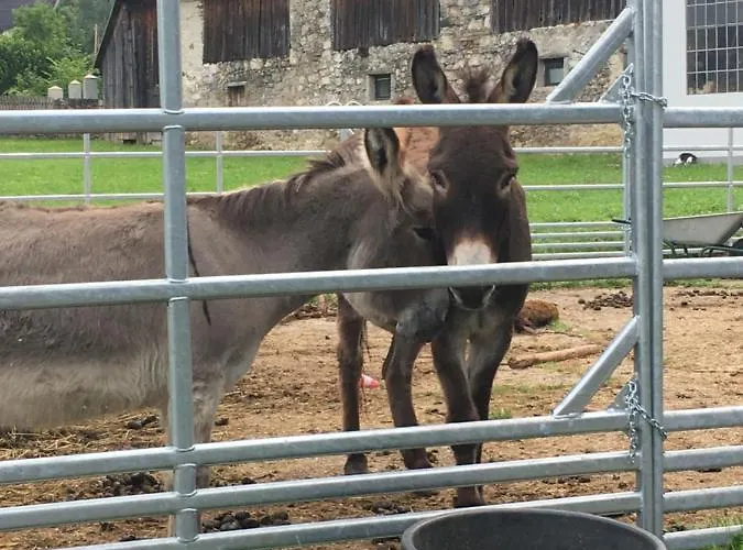 Bed & Breakfast Wengerwirt Zur Laube Weng im Gesause
