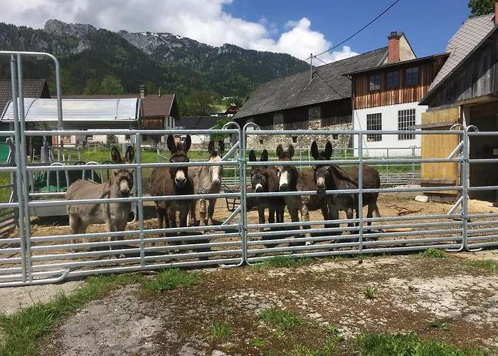 Bed & Breakfast Wengerwirt Zur Laube