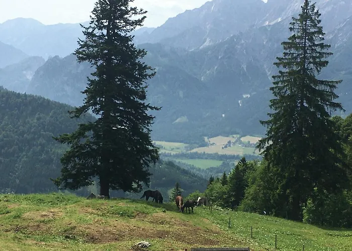 فندق مبيت وإفطار Wengerwirt Zur Laube Weng im Gesause