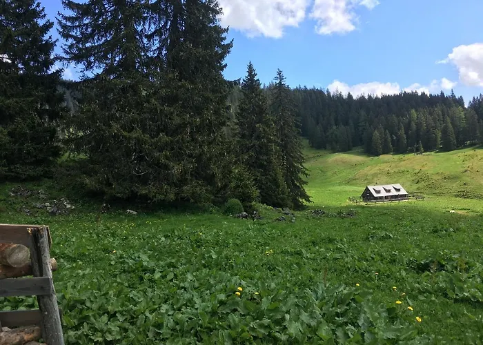 Wengerwirt Zur Laube Weng im Gesause
