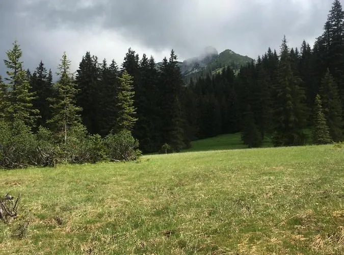 Wengerwirt Zur Laube 3*