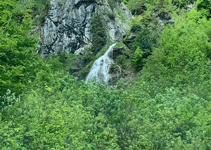 Wengerwirt Zur Laube