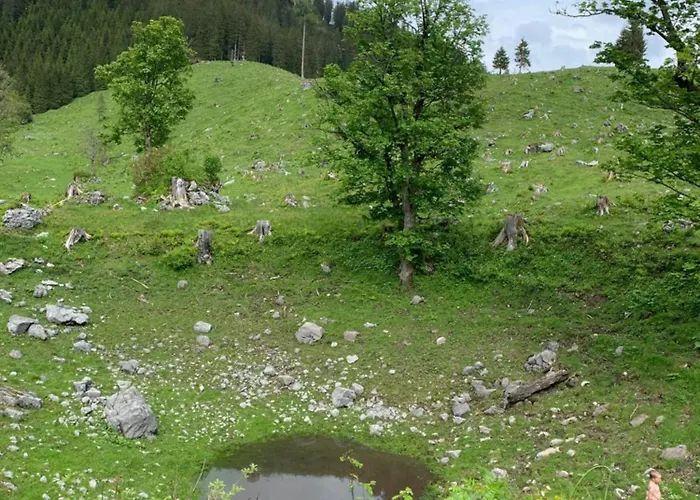 Wengerwirt Zur Laube Bed & Breakfast 3*